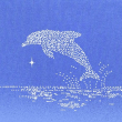 POD-Dolphin