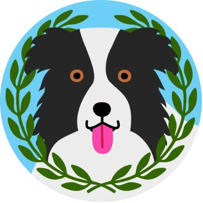 Apollo Inu