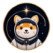 Asteroid The Space Shiba Inu