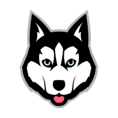 Balto Token