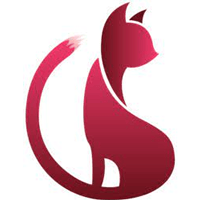 Beau Cat
