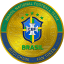 BITCI Brazil National Football Team Fan Token
