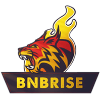 BNBRise