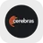 Cerebras Systems CBRSG