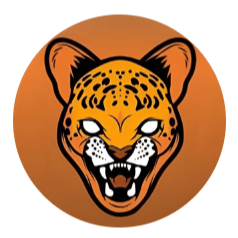 BabyChita Token