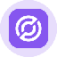 Circle Internet Group Tokenized Stock (Ondo)