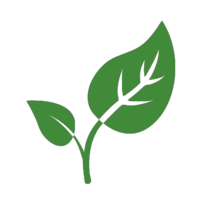 CryptoLeaf