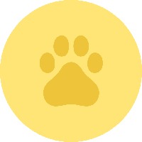 DNAxCAT Token