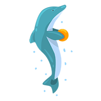 Dophins.wtf
