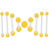extraDNA