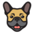Frenchie