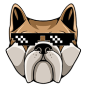 GDOGE Finance