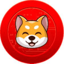 Kiba Inu BSC