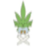 Kush Finance