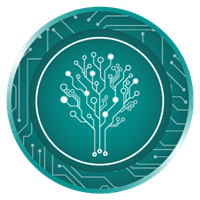 MBS Token