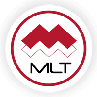 Media Licensing Token