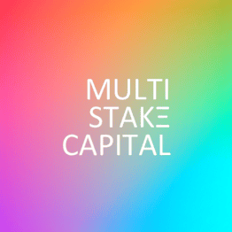Multi-Stake Capital
