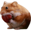 nomnom