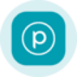 Planet Labs (Ondo Tokenized) PLON