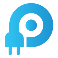 Plug