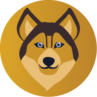 Rin Finance Coin