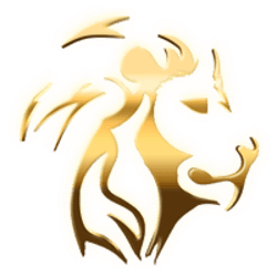 Seismic
