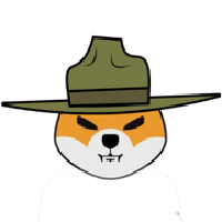 Sgt.SHIB