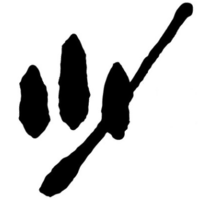 StarCredits
