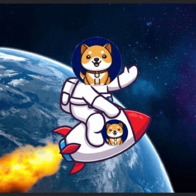 Starship Doge