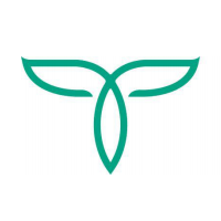 茶链
