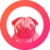 TOPDOG Vault (NFTX)
