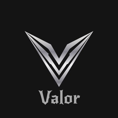 ValorFoundation