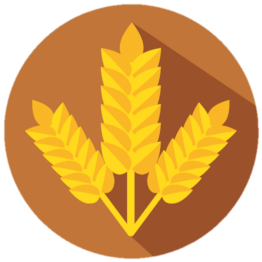 Wheat Farm