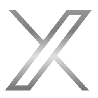 X AI