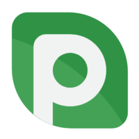 P2PB2B Logo