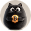 BitcatLOGO