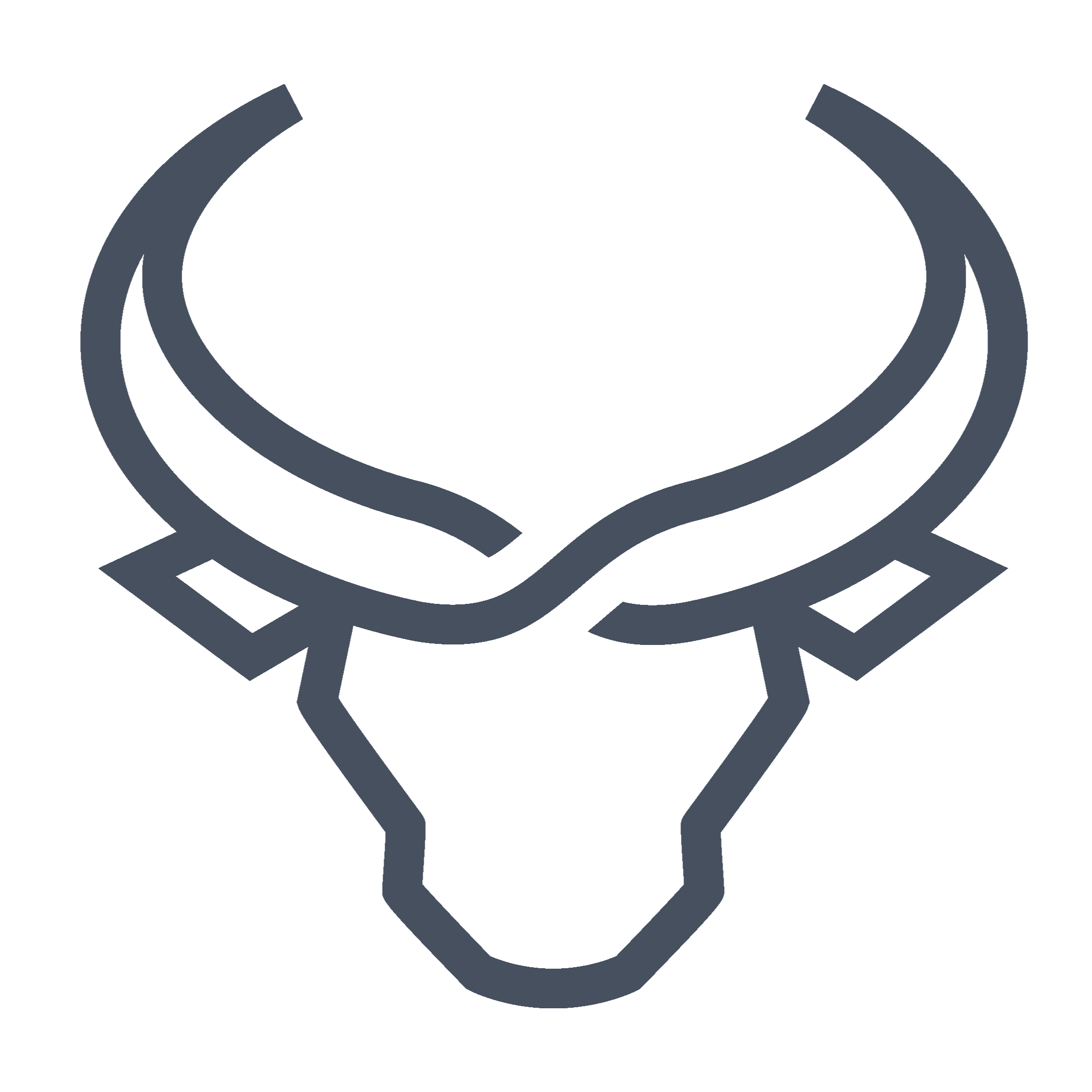 Bull RunLOGO