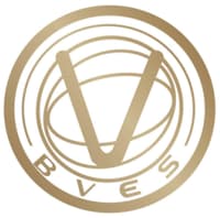 BVESLOGO