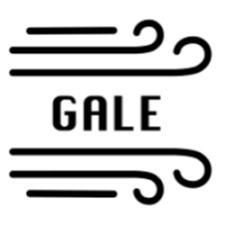 Gale NetworkLOGO