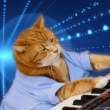 Keyboard Cat (Base)LOGO