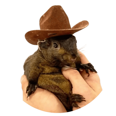 Peanut the SquirrelLOGO