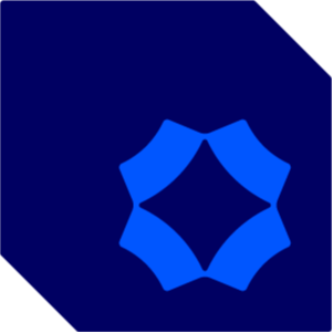 Storepay FintechLOGO