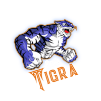 Tigra CoinLOGO