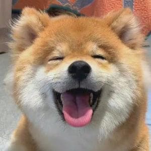 蓝色咖啡