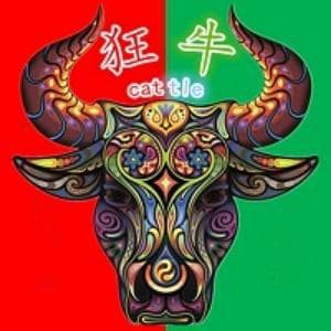 狂牛说币