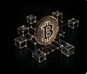 对话 GOAT Network：落地首个 BitVM2 测试网，点燃比特币的 “OP 时刻”