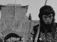 封面图片