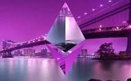 为什么要使用 transaction data？
