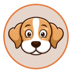 Beagle Inu