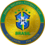 BITCI Brazil National Football Team Fan Token